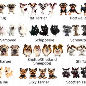 Op de afbeelding: Een kleurrijke illustratie van 12 verschillende hondenrassen, elk met een cartoonachtig uiterlijk. De honden zijn gerangschikt in vier rijen van drie, waarbij elke rij een ander ras vertegenwoordigt. De rassen zijn: Mopshond, Rattenterri&euml;r, Rottweiler, Samojede, Schipperke, Dwergspits, Shar-Pei, Sheltie/Shetland Sheepdog, Shih Tzu, Shiba Inu, Zijdehaar-terri&euml;r en Schotse Terri&euml;r.