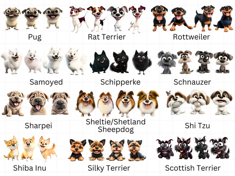 Op de afbeelding: Een kleurrijke illustratie van 12 verschillende hondenrassen, elk met een cartoonachtig uiterlijk. De honden zijn gerangschikt in vier rijen van drie, waarbij elke rij een ander ras vertegenwoordigt. De rassen zijn: Mopshond, Rattenterri&euml;r, Rottweiler, Samojede, Schipperke, Dwergspits, Shar-Pei, Sheltie/Shetland Sheepdog, Shih Tzu, Shiba Inu, Zijdehaar-terri&euml;r en Schotse Terri&euml;r.
