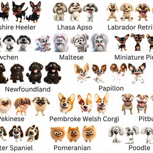 Op de afbeelding: Een kleurrijke illustratie van 12 verschillende hondenrassen, elk met twee cartoonhonden in een speelse pose. De rassen zijn Lancashire Heeler, Lhasa Apso, Labrador Retriever, Lowchen, Maltezer, Dwergpincher, Newfoundland, Papillon, Pekingese, Pembroke Welsh Corgi, Pitbull, Pointer Spaniel, Dwergspits en Poedel.