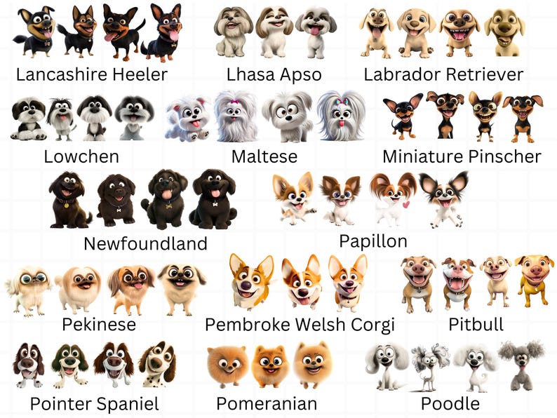 Op de afbeelding: Een kleurrijke illustratie van 12 verschillende hondenrassen, elk met twee cartoonhonden in een speelse pose. De rassen zijn Lancashire Heeler, Lhasa Apso, Labrador Retriever, Lowchen, Maltezer, Dwergpincher, Newfoundland, Papillon, Pekingese, Pembroke Welsh Corgi, Pitbull, Pointer Spaniel, Dwergspits en Poedel.