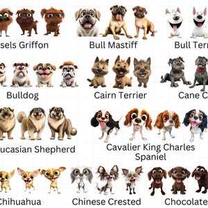 Op de afbeelding: Een grafiek met illustraties van verschillende hondenrassen. De rassen die worden getoond zijn Brussels Griffon, Bullmastiff, Bullterrier, Bulldog, Cairn Terrier, Cane Corso, Kaukasische Herder, Cavalier King Charles Spaniel, Chihuahua, Chinese Crested en Chocolade Labrador.