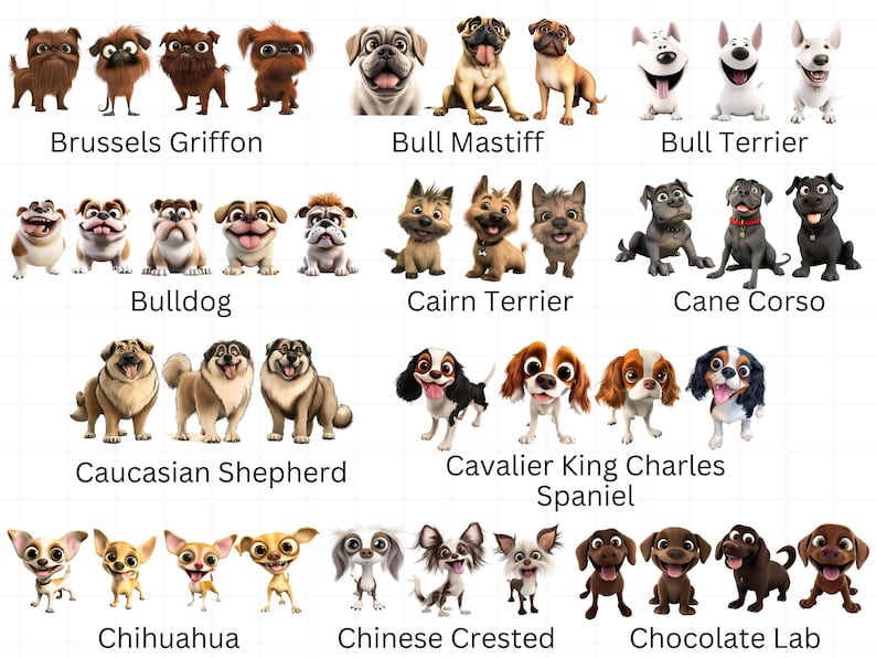 Op de afbeelding: Een grafiek met illustraties van verschillende hondenrassen. De rassen die worden getoond zijn Brussels Griffon, Bullmastiff, Bullterrier, Bulldog, Cairn Terrier, Cane Corso, Kaukasische Herder, Cavalier King Charles Spaniel, Chihuahua, Chinese Crested en Chocolade Labrador.