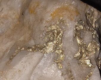 Large 24k platinum gold ore nugget in quartz!