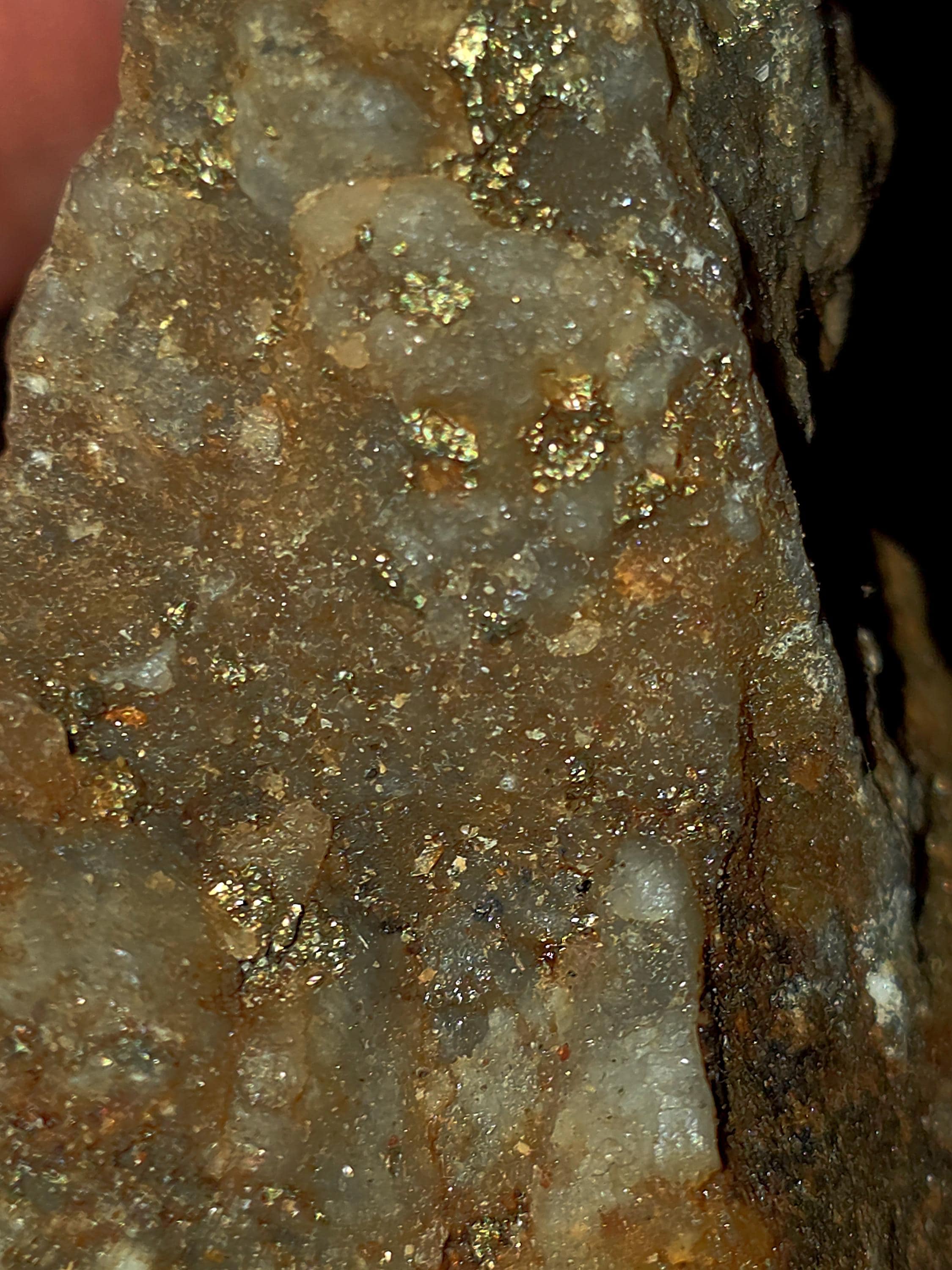 Ancient Earth Alchemy Native Gold Ore in Quartz Matrix | Raw Elemental ...