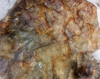 17 lb Rough opalized agatized petrified wood!