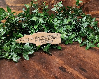 John Muir - Going to the mountains is going home.