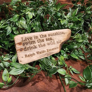 May include: A rectangular wooden plaque with the quote "Live in the sunshine, swim the sea, drink the wild air" by Ralph Waldo Emerson. The plaque is surrounded by green leafy vines.