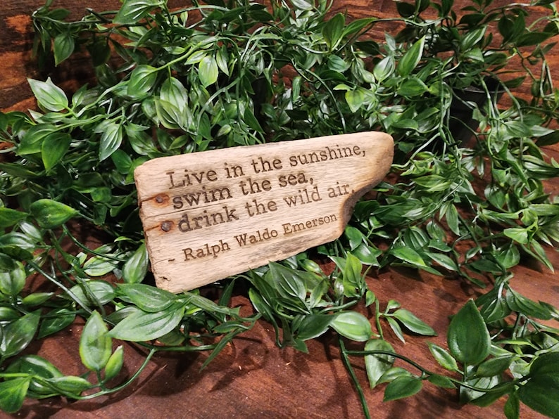 May include: A rectangular wooden plaque with the quote "Live in the sunshine, swim the sea, drink the wild air" by Ralph Waldo Emerson. The plaque is surrounded by green leafy vines.