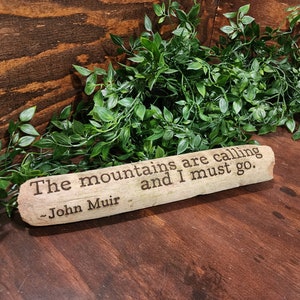 John Muir - As montanhas estão chamando e eu preciso ir.