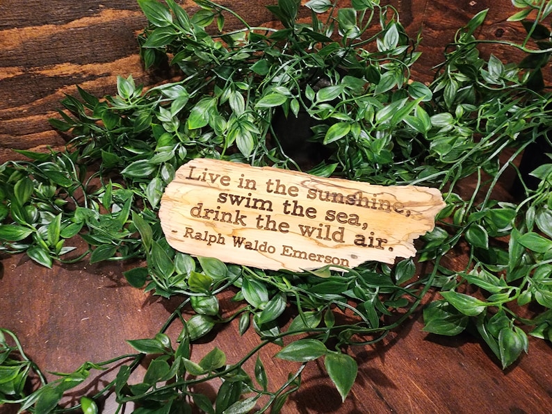 May include: A wooden plaque with the quote "Live in the sunshine, swim the sea, drink the wild air" by Ralph Waldo Emerson, engraved in a rustic font. The plaque is surrounded by green foliage, creating a natural, decorative piece.