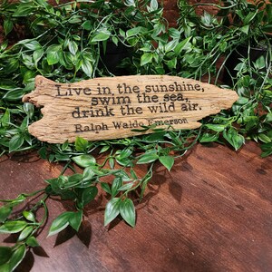 May include: A wooden sign with the quote "Live in the sunshine, swim the sea, drink the wild air" by Ralph Waldo Emerson. The sign is surrounded by green leafy vines, creating a natural, rustic aesthetic. The sign is made of a light brown wood.