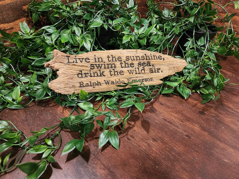 May include: A wooden sign with the quote "Live in the sunshine, swim the sea, drink the wild air" by Ralph Waldo Emerson. The sign is surrounded by green leafy vines, creating a natural, rustic aesthetic. The sign is made of a light brown wood.