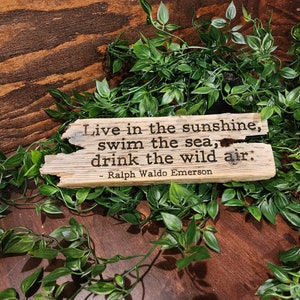 May include: A rustic wooden sign with the quote "Live in the sunshine, swim the sea, drink the wild air:" by Ralph Waldo Emerson. The sign is surrounded by green foliage and rests on a dark wooden surface.
