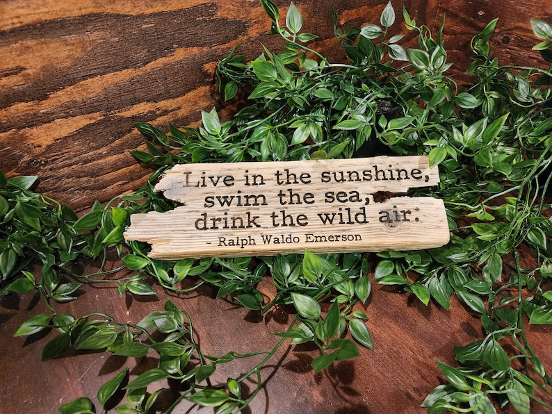 May include: A rustic wooden sign with the quote "Live in the sunshine, swim the sea, drink the wild air:" by Ralph Waldo Emerson. The sign is surrounded by green foliage and rests on a dark wooden surface.