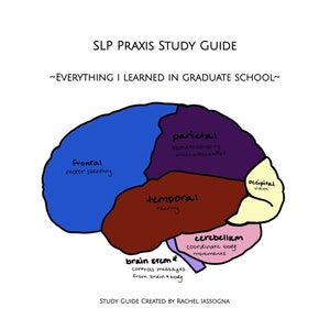 SLP Praxis Study Guide Prep