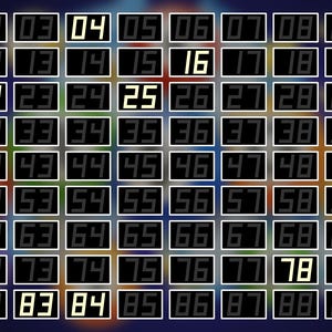 Bingo Caller - Bingo Game Software - Etsy