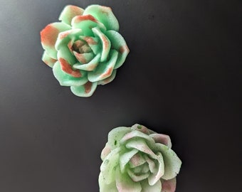Beautiful Faux Succulent Magnets - rose shaped magnets  with green resin accented with pink mica powders - everlasting flower for valentine