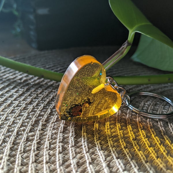 Decapitated Beetle Amber Keychain - real Japanese beetle preserved in heart shaped yellow resin