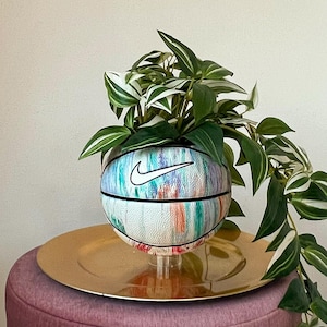 Könnte beinhalten: Ein Basketball, der als Pflanzgefäß umfunktioniert wurde, mit einem weißen Nike-Logo und bunten Farbstrichen. Er enthält eine grün-weiße Pflanze und steht auf einer goldfarbenen Platte auf einem rosa gepolsterten Hocker.