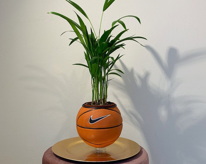 Nike Basketball Plant OG 'Minori'