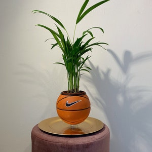 May include: A basketball-shaped planter with a green plant inside. The orange planter has a black Nike swoosh logo. The planter sits on a gold-colored plate and a pink ottoman. The plant has long, thin green leaves.
