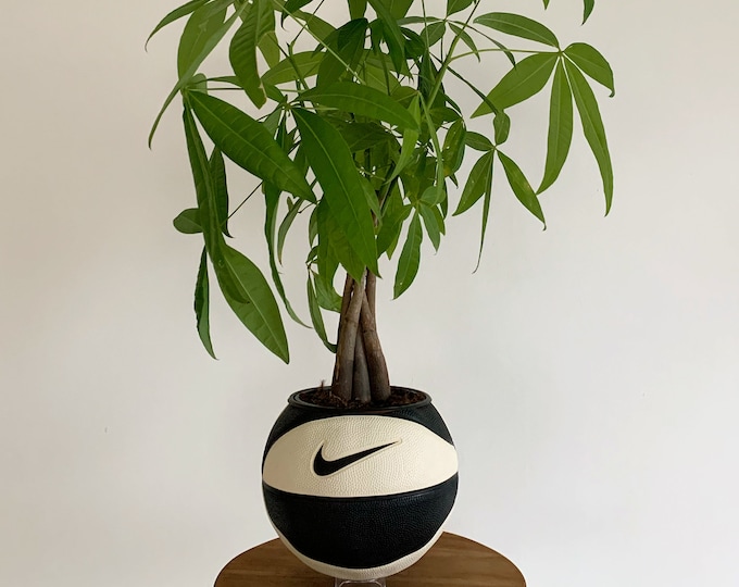 Nike Basketball Plant 'Oreo'