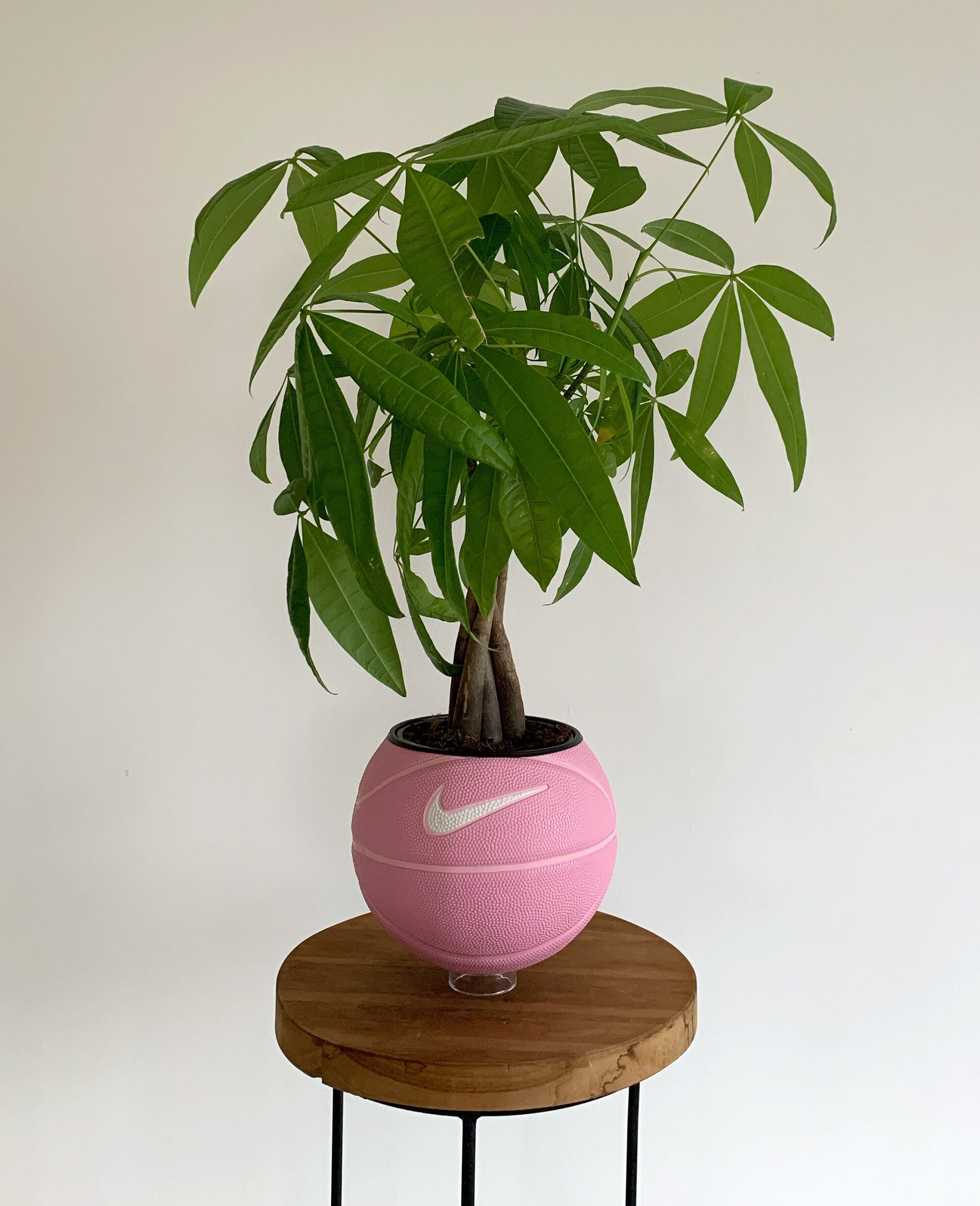 Plante de basket Nike « Valentine »