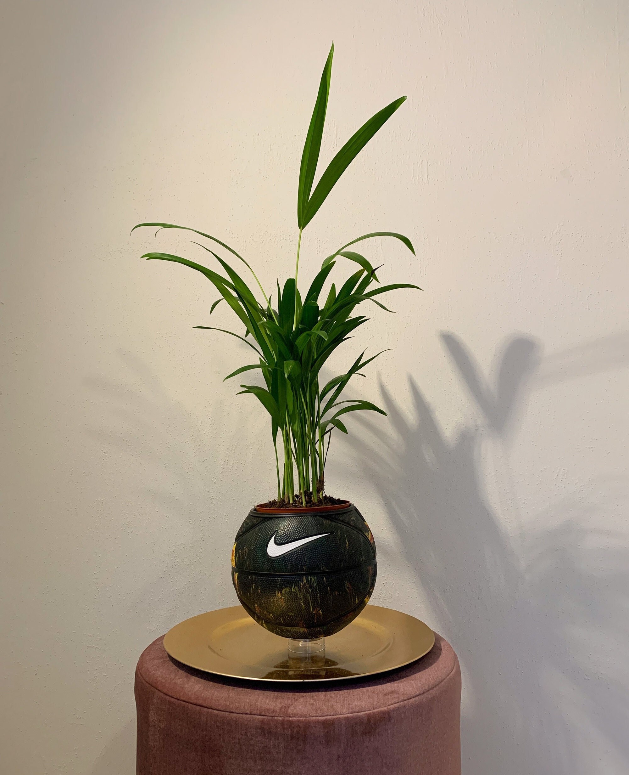 Plante de basket Nike « Yasuke »