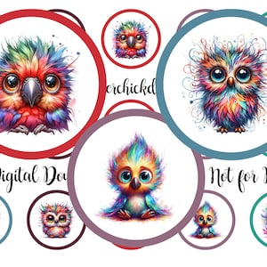 Peut inclure: Un ensemble de téléchargements numériques présentant des illustrations colorées et fantaisistes de hiboux avec différentes expressions et poses. Les hiboux sont représentés avec des plumes arc-en-ciel vibrantes et de grands yeux expressifs. Le texte "Téléchargement numérique" et "Non destiné à la revente" est inclus dans l'image.