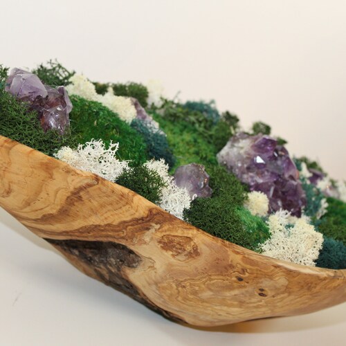 Preserved Moss and Amethyst shops Table Centerpiece | Living Moss Art Large | Living Plant Art | Nature Room Decor | Eco Friendly Decor