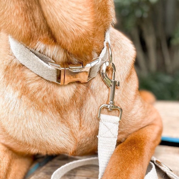 Hemp dog collar in Natural