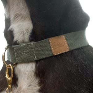 Hemp dog collar in Sage