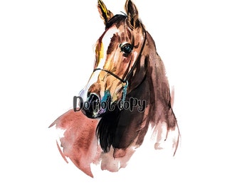 Horse sublimation png digital download