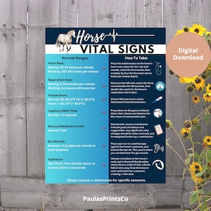 Les signes vitaux du cheval simplifiés : une référence pour chaque cavalier - Affiche numérique
