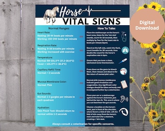 Horse Vital Signs Made Simple: A Reference for Every Equestrian - Digital Poster