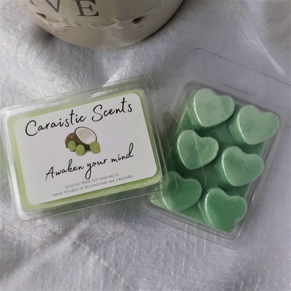Coconut Lime Soy Wax Melts| Wax Melts for Warmer, Scented Wax Melts, Pet  Safe Wax Melts, Strong Wax Melts, Natural Wax Melts, Best Wax Melts