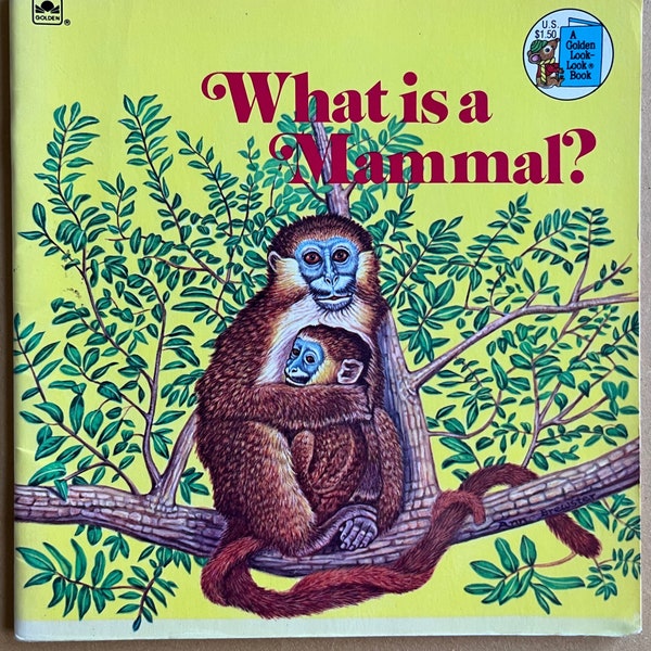 What Is A Mammal? by Jenifer W. Day and Ann Brewster (1975)