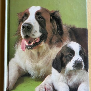 May include: A book titled "SAINT BERNARDS" featuring a photograph of two Saint Bernard dogs on the cover. The larger dog is lying down with its tongue out, and the smaller dog is sitting in front of it.