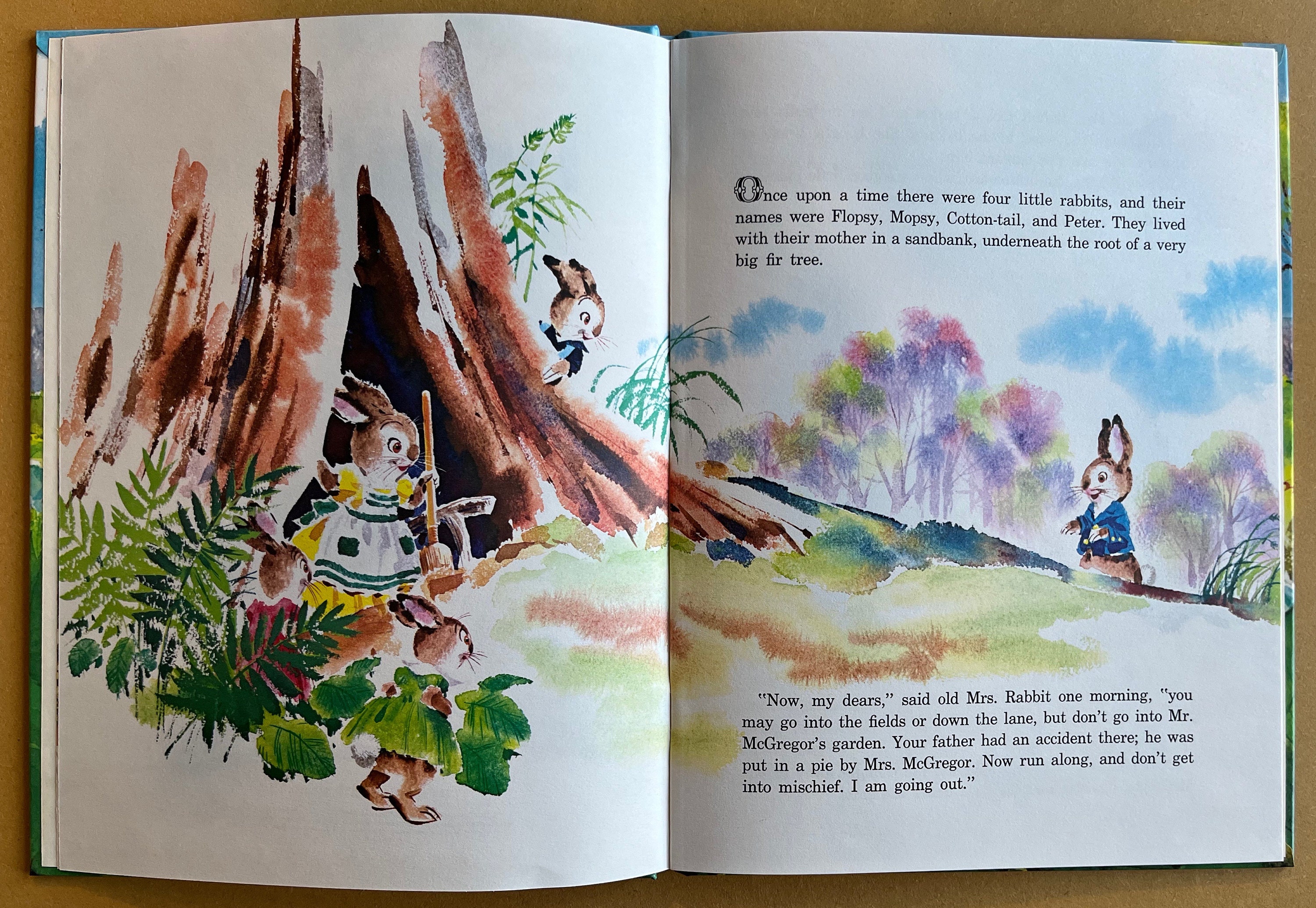 The Tale of Peter Rabbit by Beatrix Potter and Rod Ruth (1963) - Etsy