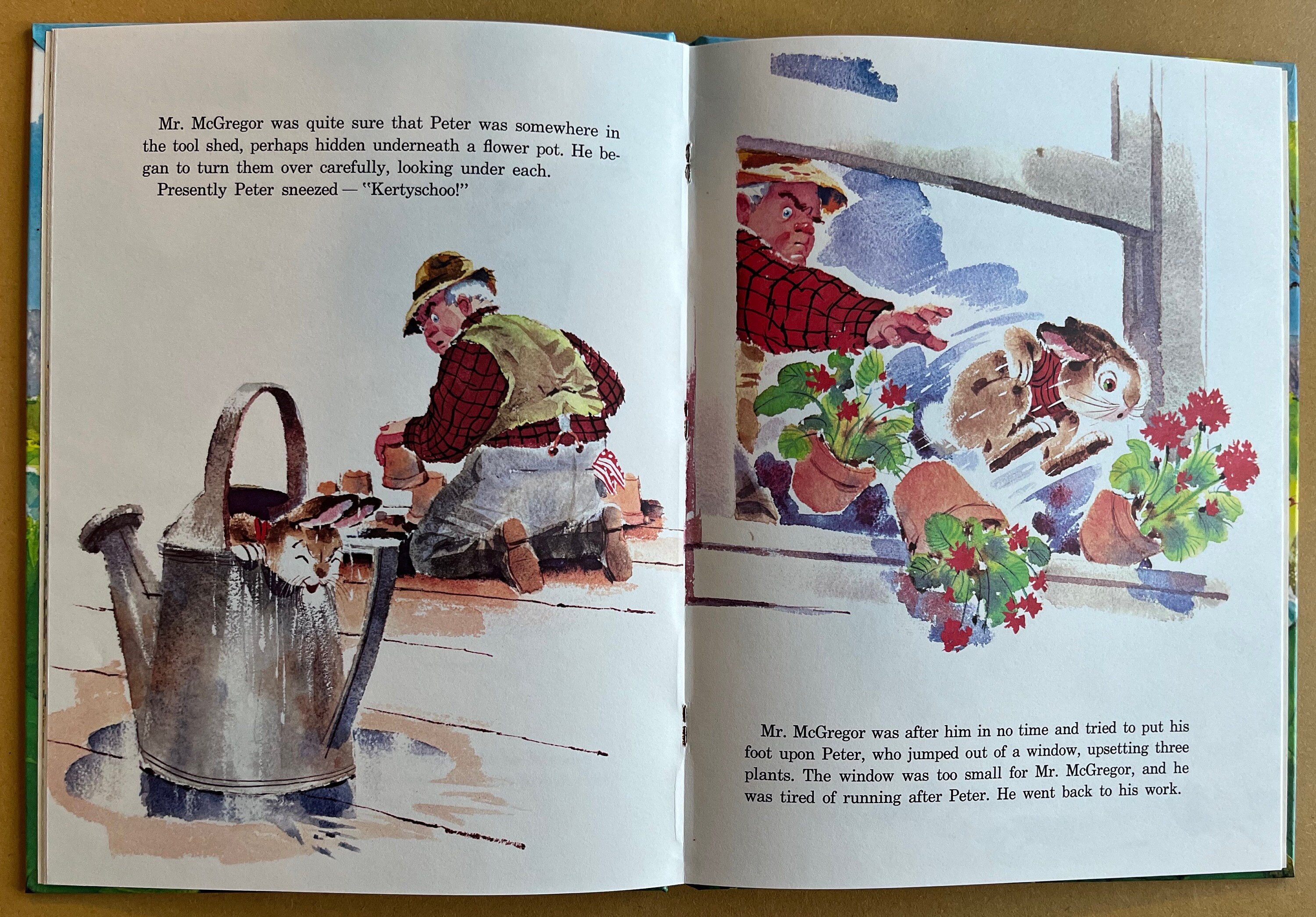 The Tale of Peter Rabbit by Beatrix Potter and Rod Ruth (1963) - Etsy