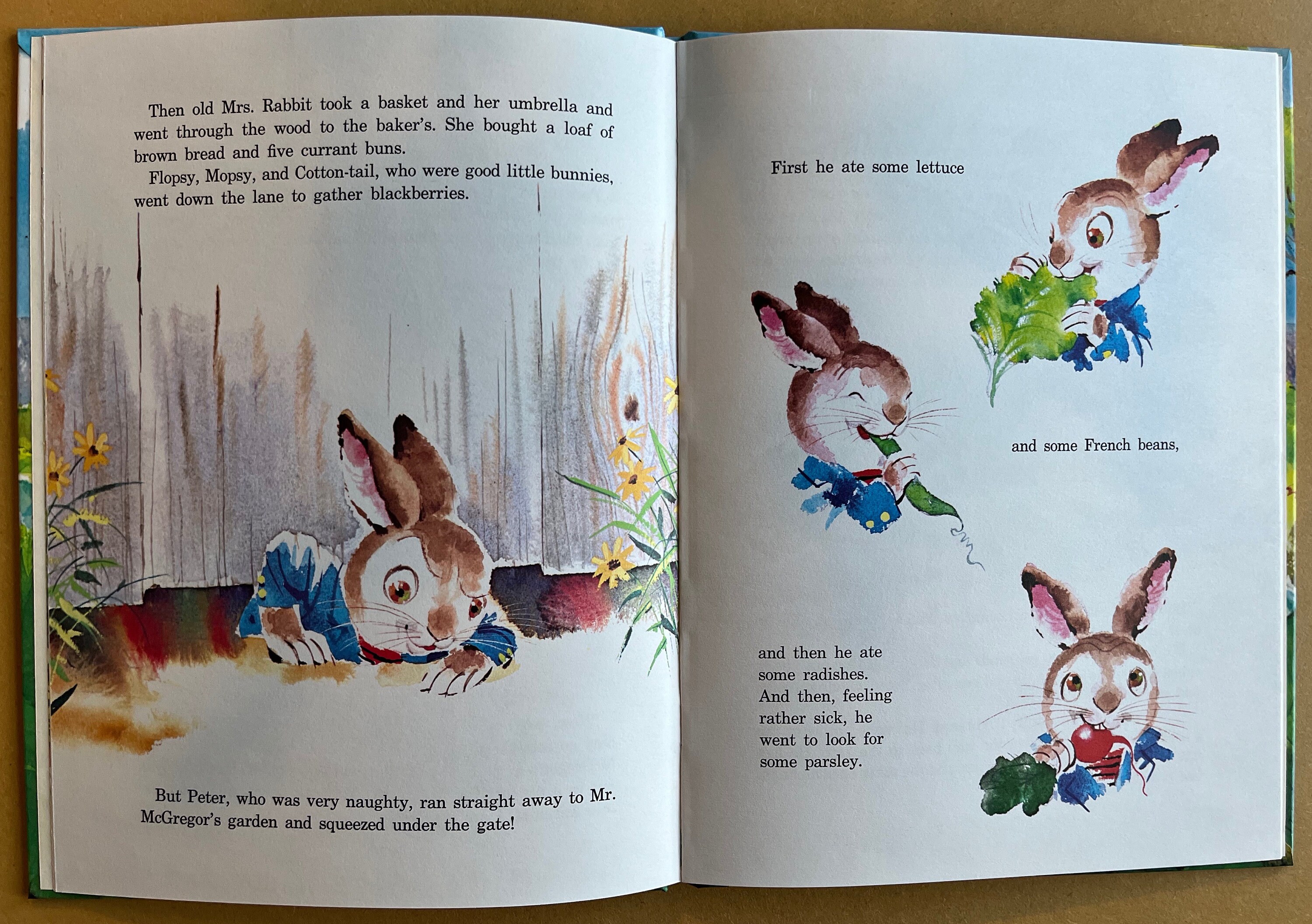 The Tale of Peter Rabbit by Beatrix Potter and Rod Ruth (1963) - Etsy