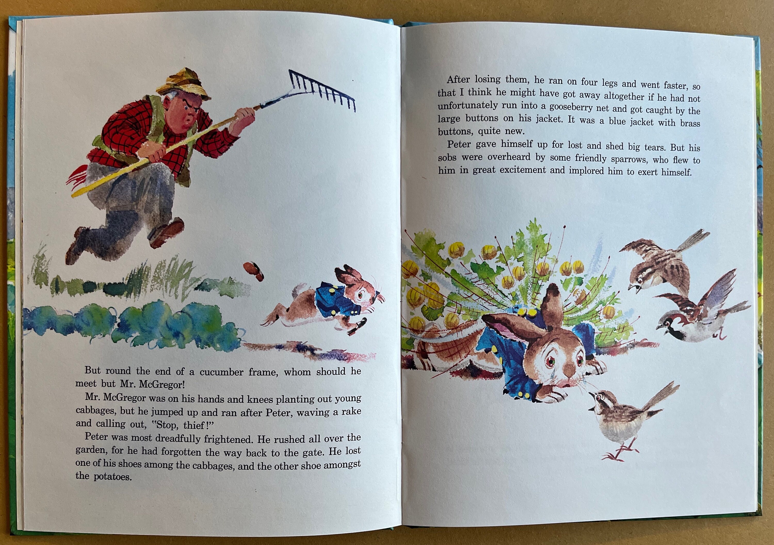 The Tale of Peter Rabbit by Beatrix Potter and Rod Ruth (1963) - Etsy
