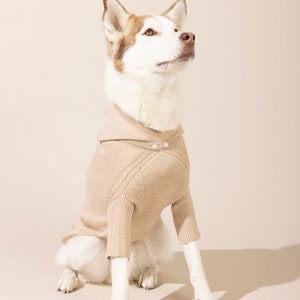 Shades Of Brown Designer Dog Jumper