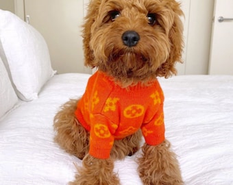 designer dog clothes