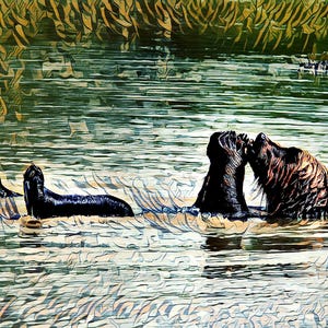 Puede incluir: Una representación artística de tres focas en el agua. Dos focas se abrazan, mientras que una tercera flota cerca. El agua tiene un efecto texturizado y pictórico, con tonos verdes y marrones. Las focas son negras y marrones.