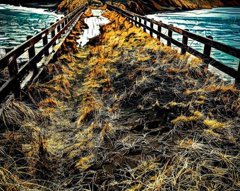 Alaskan Art, Wall Art, Giclee, Canvas, Adak, Outdoor, Alaska, Bridge, Clam Lagoon, weeds, Aleutian Islands,   moody, sunset, overgrown