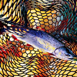 Alaskan Art, Fish Wall Art, Giclee, Canvas, Fine Art, Salmon, Outdoor, Alaska, Fish, Alaska, Sockeye, Net, fishing, fly fishing