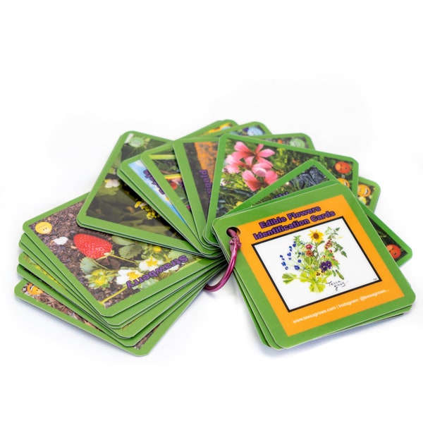 Cartes d'identification de fleurs comestibles TessaGrows. L'achat vous donne également un accès exclusif à plus de contenu en ligne sur des fleurs fascinantes.