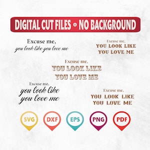 Entschuldigung, Sie sehen aus wie Sie mich lieben, Ella Langley Songtext, Sie sehen aus wie Sie mich lieben, digitales Design, digitale Datei svg