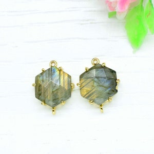May include: Two gold-toned metal charms with a hexagonal labradorite gemstone. The charms have a loop at the top for attaching to jewelry.